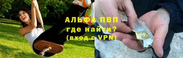 ECSTASY Каменногорск