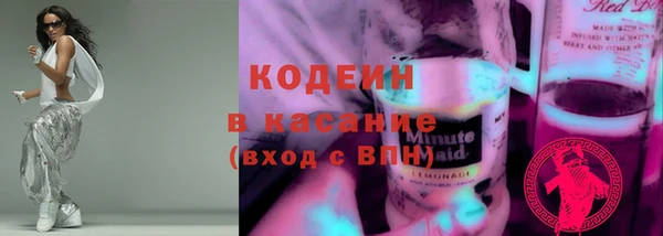 дурь Каменка