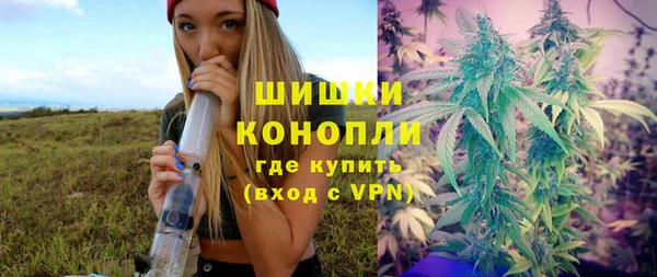 дурь Каменка
