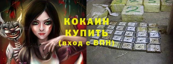 дурь Каменка