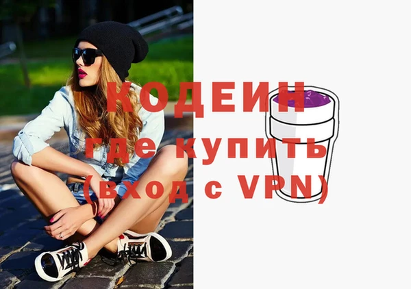 дурь Каменка