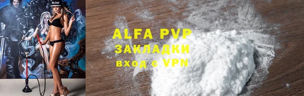 ECSTASY Каменногорск