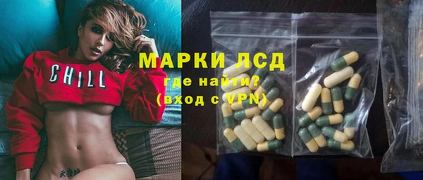 дурь Каменка