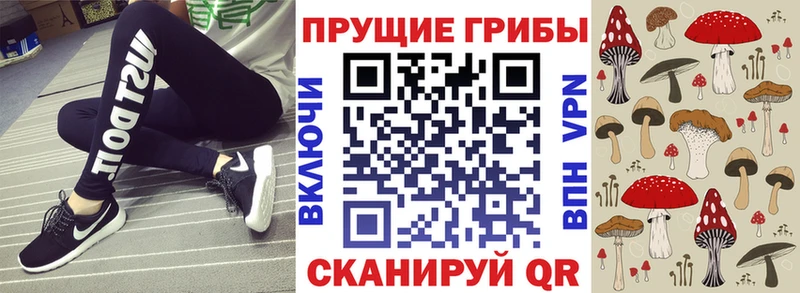 Псилоцибиновые грибы прущие грибы  Купить где  Белинский 